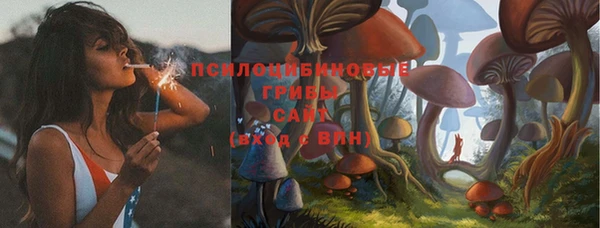 тгк Кодинск