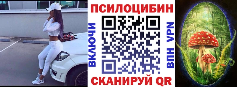 Галлюциногенные грибы Psilocybine cubensis  shop какой сайт  Котовск  где найти наркотики 