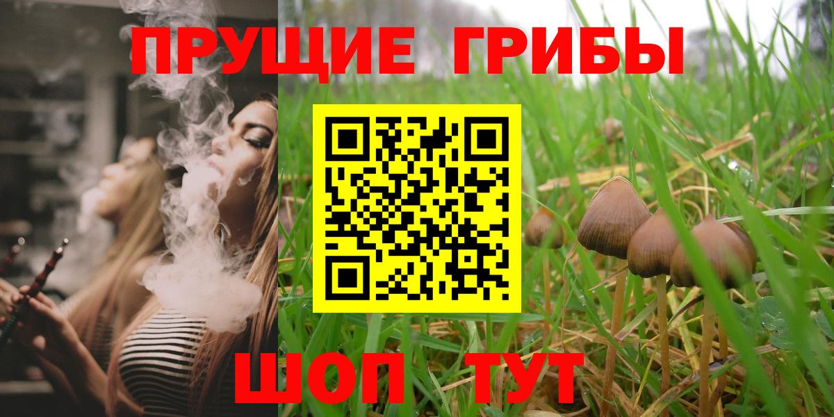 Котовск  Галлюциногенные грибы Cubensis  цена   Вход с VPN 