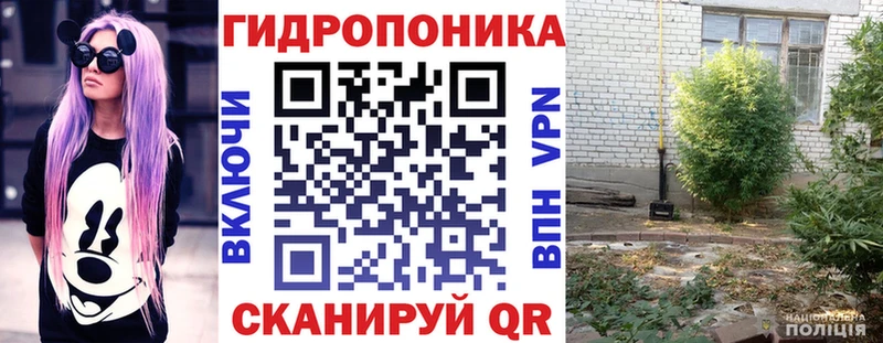 МАРИХУАНА AK-47  shop официальный сайт  Котовск 